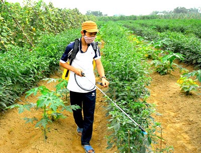 Vietnam’s national target program on new rural development	 - ảnh 1